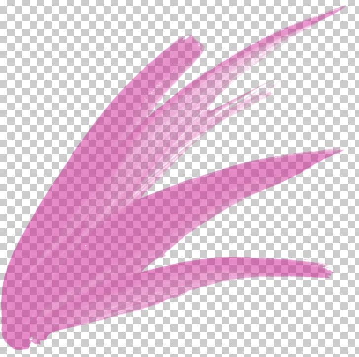 Pink M Feather RTV Pink PNG, Clipart, Animals, Creative, Feather, Magenta, Nature Free PNG Download