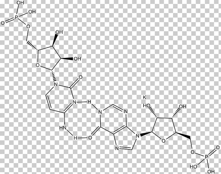 Polyinosinic:polycytidylic Acid Toll-like Receptor TLR3 PNG, Clipart, Acid, Angle, Arn Double Brin, Black And White, Circle Free PNG Download
