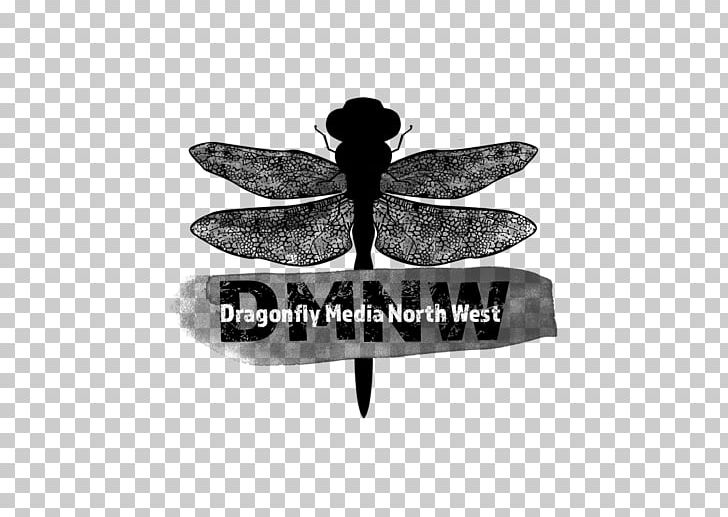 The North West Company Business News Talart Press Release PNG, Clipart, Black And White, Business, Butterflies And Moths, Captain7, Insect Free PNG Download