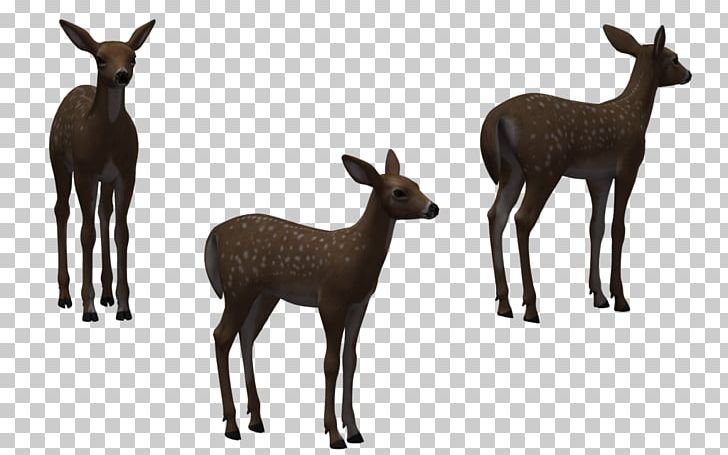 White-tailed Deer Elk PNG, Clipart, Animals, Antelope, Antler, Art, Cartoon Free PNG Download