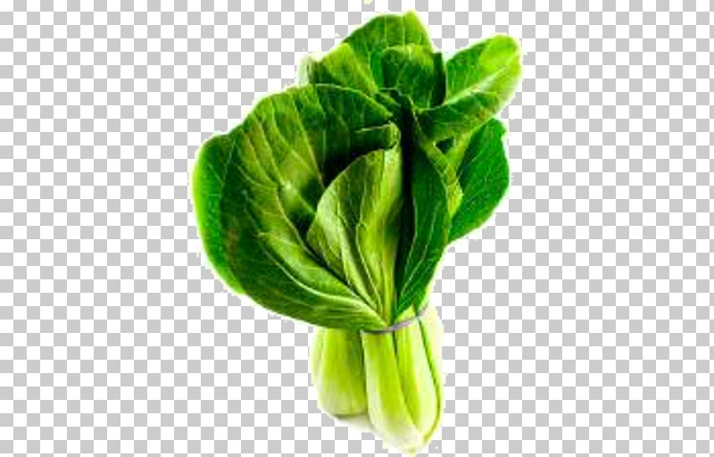 Leaf Vegetable Green Plant Leaf Vegetable PNG, Clipart, Chinese Cabbage, Choy Sum, Flower, Food, Green Free PNG Download