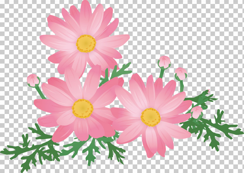 Daisy PNG, Clipart, Chamomile, Cut Flowers, Daisy, Flower, Marguerite Daisy Free PNG Download