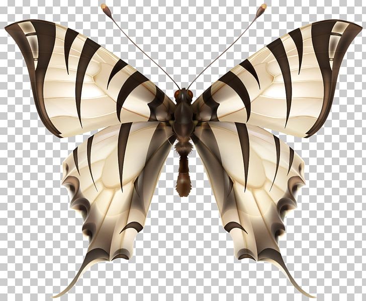 Butterfly Insect Tiger PNG, Clipart, Arthropod, Bombycidae, Brush Footed Butterfly, Butterflies, Butterflies And Moths Free PNG Download