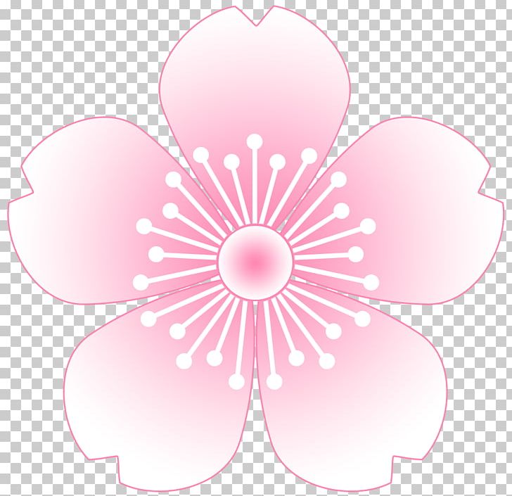 Cherry Blossom PNG, Clipart, Blossom, Cherry Blossom, Circle, Computer Wallpaper, Desktop Wallpaper Free PNG Download