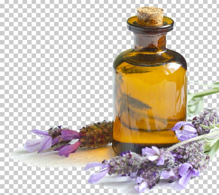 English Lavender Lavender Oil Essential Oil Skin PNG, Clipart, Alternative Medicine, Antiseptic, Aroma Compound, Aromatherapy, Avocado Oil Free PNG Download