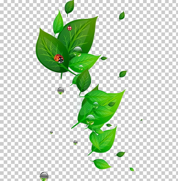 Leaf Green PNG, Clipart, Branch, Encapsulated Postscript, Environmental Protection, Flora, Flower Free PNG Download