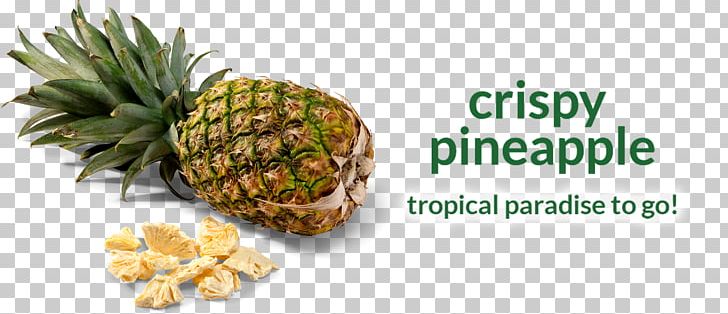 Vegetarian Cuisine Pineapple Cake Food Fruit PNG, Clipart, Ananas, Bromeliaceae, Bromeliads, Dried Fruit, Food Free PNG Download