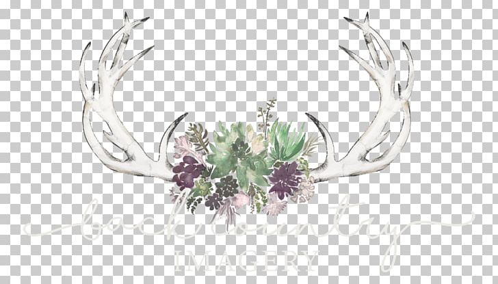 Back Country Ry Seattle Vendor Flower PNG, Clipart, Body Jewellery, Body Jewelry, Character, Fashion Accessory, Fictional Character Free PNG Download