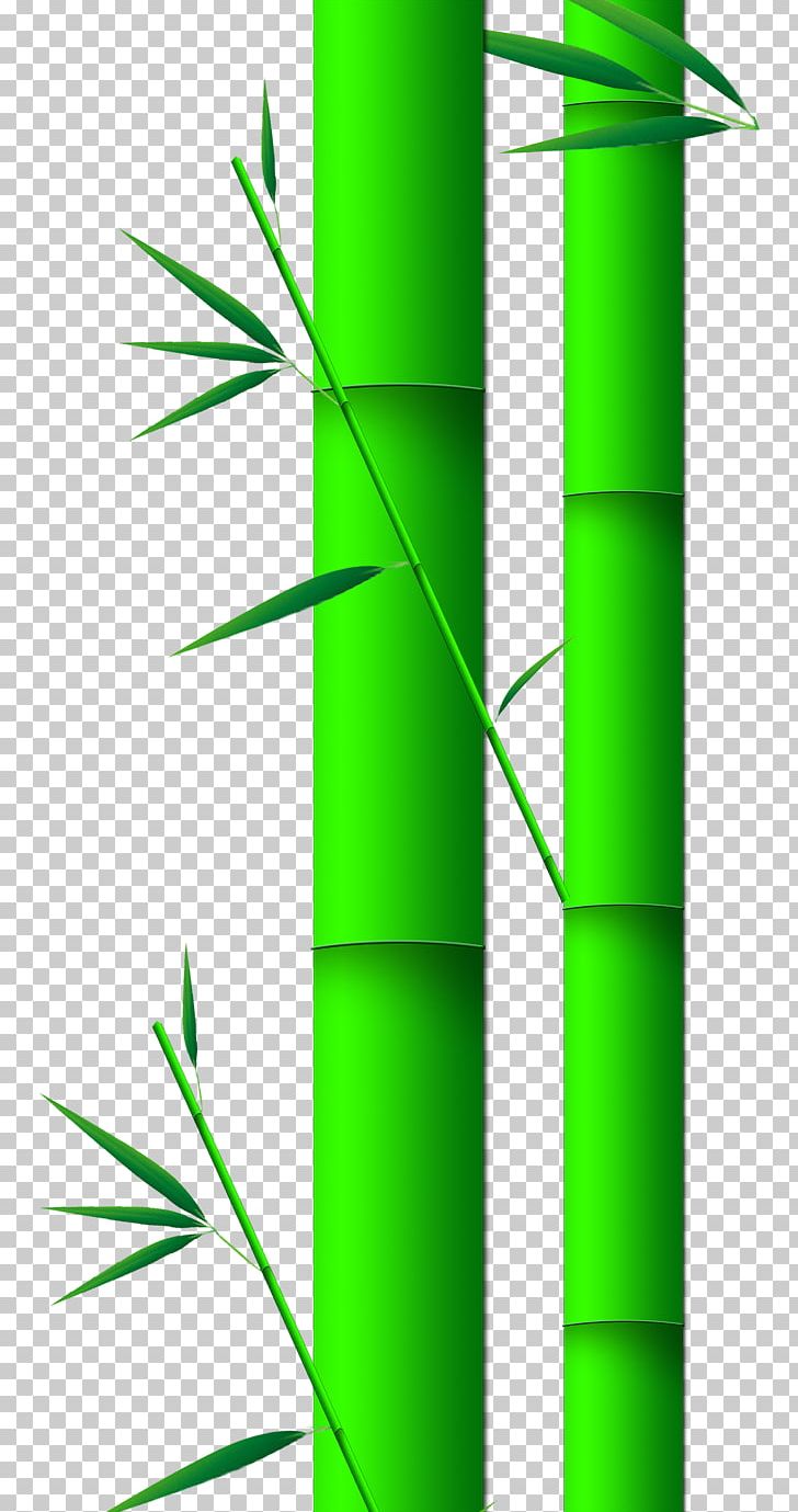 Bamboo Euclidean Leaf PNG, Clipart, Angle, Bamboe, Bamboo, Bamboo Border, Bamboo Frame Free PNG Download