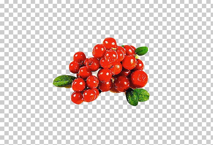 Cranberry Red Auglis PNG, Clipart, Cherry, Color, Color Pencil, Color Splash, Currant Free PNG Download