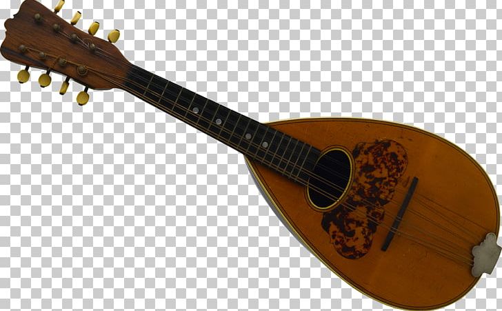 Musical Instruments String Instruments Mandolin Plucked String Instrument PNG, Clipart, Acoustic Electric Guitar, Cuatro, Guitar Accessory, Lute, Musical Instrument Free PNG Download