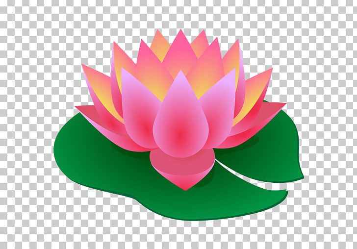 Service Ghetto Film School Inc Moscow Innovation PNG, Clipart, Aquatic Plant, Artikel, Buddha, Buddhism, Company Free PNG Download