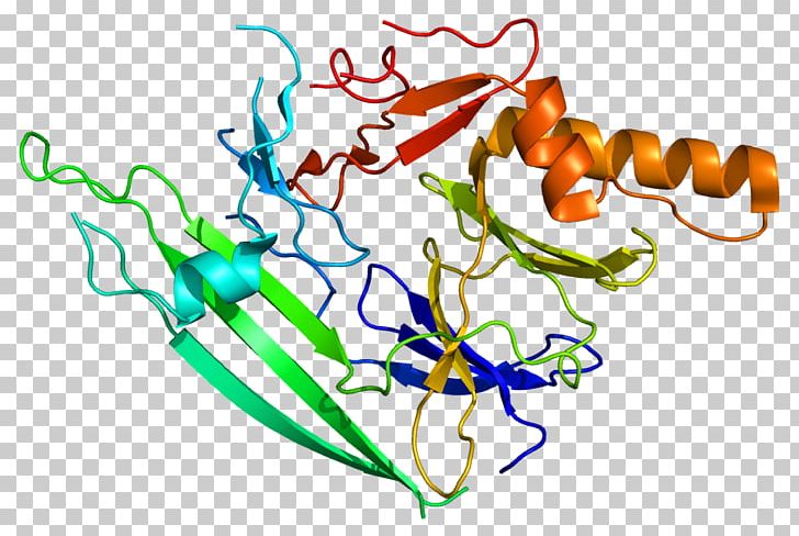 Unfolded Protein Response ERN1 Protein Kinase Protein Structure PNG, Clipart, Art, Artwork, Biology, Cell, Enzyme Free PNG Download