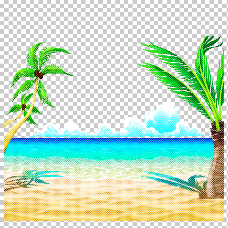 Palm Tree PNG, Clipart, Aqua, Arecales, Attalea Speciosa, Beach, Caribbean Free PNG Download