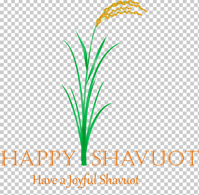 Happy Shavuot Shavuot Shovuos PNG, Clipart, Flower, Grass, Grass Family, Happy Shavuot, Leaf Free PNG Download