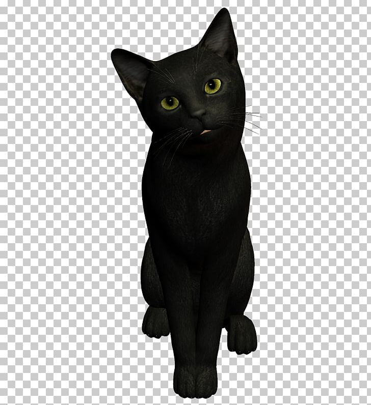 Black Cat Bombay Cat Korat Chartreux Malayan Cat PNG, Clipart, Asian, Black, Black Cat, Black Panther, Bombay Free PNG Download