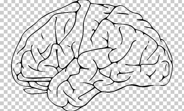 Human Brain Computer Icons PNG, Clipart, Area, Black And White, Brain, Brainstem, Cartoon Brain Free PNG Download