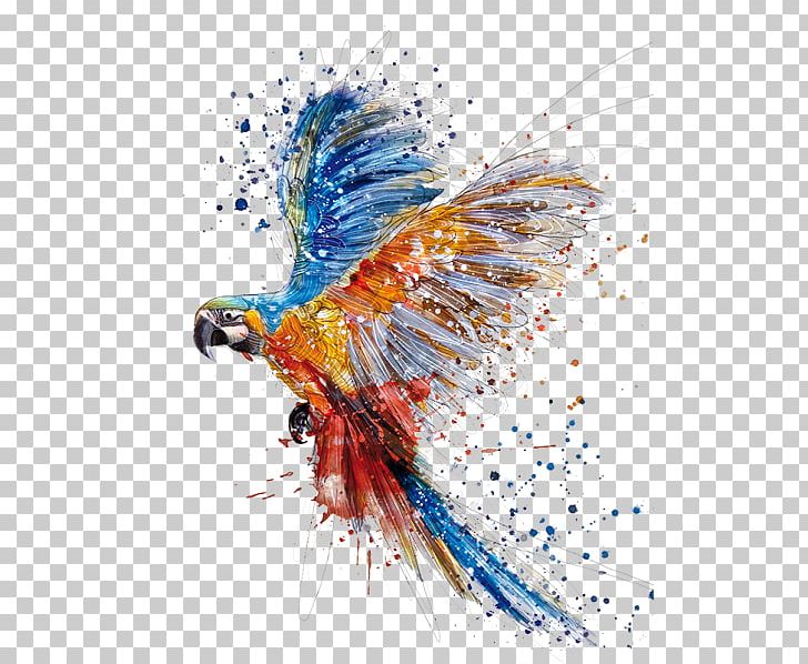 Parrot Bird Watercolor Painting Drawing PNG, Clipart, Animals, Art, Art Museum, Beak, Bird Free PNG Download