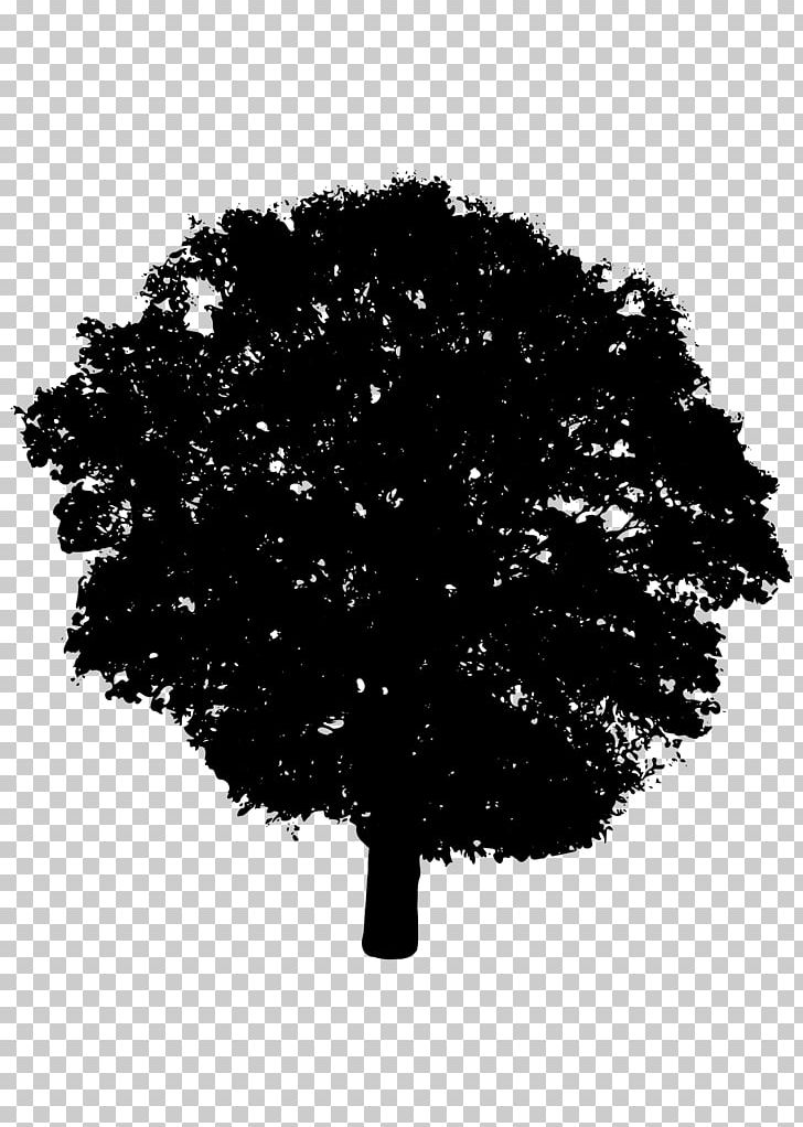 Silhouette Tree Shrub PNG, Clipart, Animals, Black, Black And White, Branch, Clip Art Free PNG Download