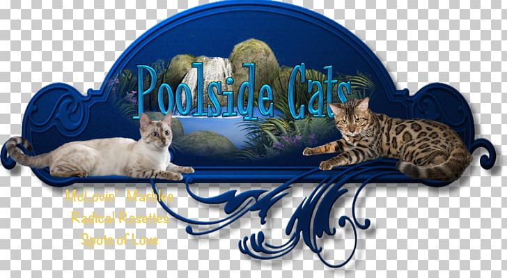 Bengal Cat Exotic Shorthair Himalayan Cat British Shorthair Persian Cat PNG, Clipart, American Bobtail, American Shorthair, Bengal Cat, Brand, Breed Free PNG Download