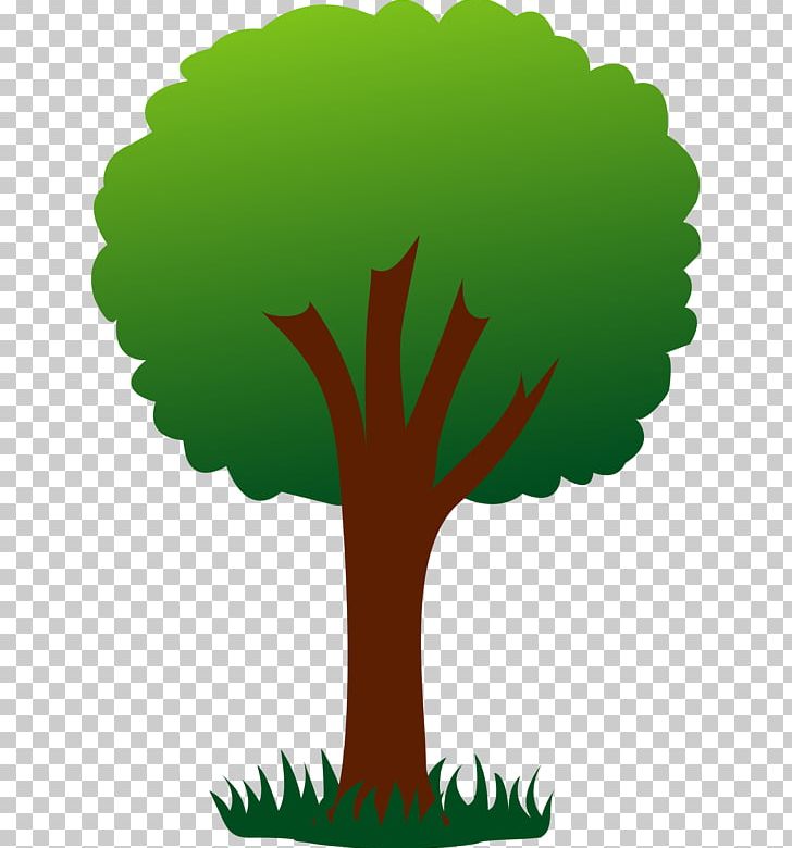 Tree Farm PNG, Clipart, Branch, Christmas Tree, Diagram, Drawing, Grass Free PNG Download