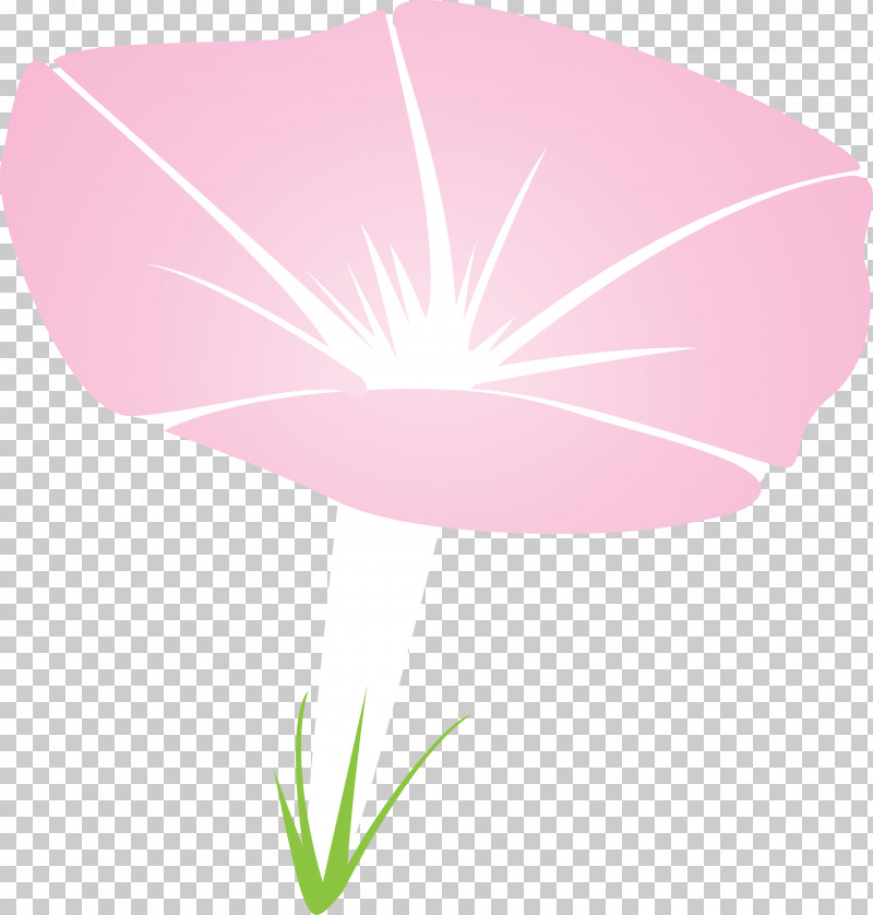 Morning Glory Flower PNG, Clipart, Anthurium, Flower, Herbaceous Plant, Leaf, Morning Glory Free PNG Download