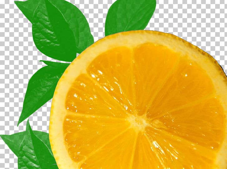 Clementine Lemon Mandarin Orange PNG, Clipart, Bitter Orange, Citric Acid, Citrus, Creative Artwork, Creative Background Free PNG Download