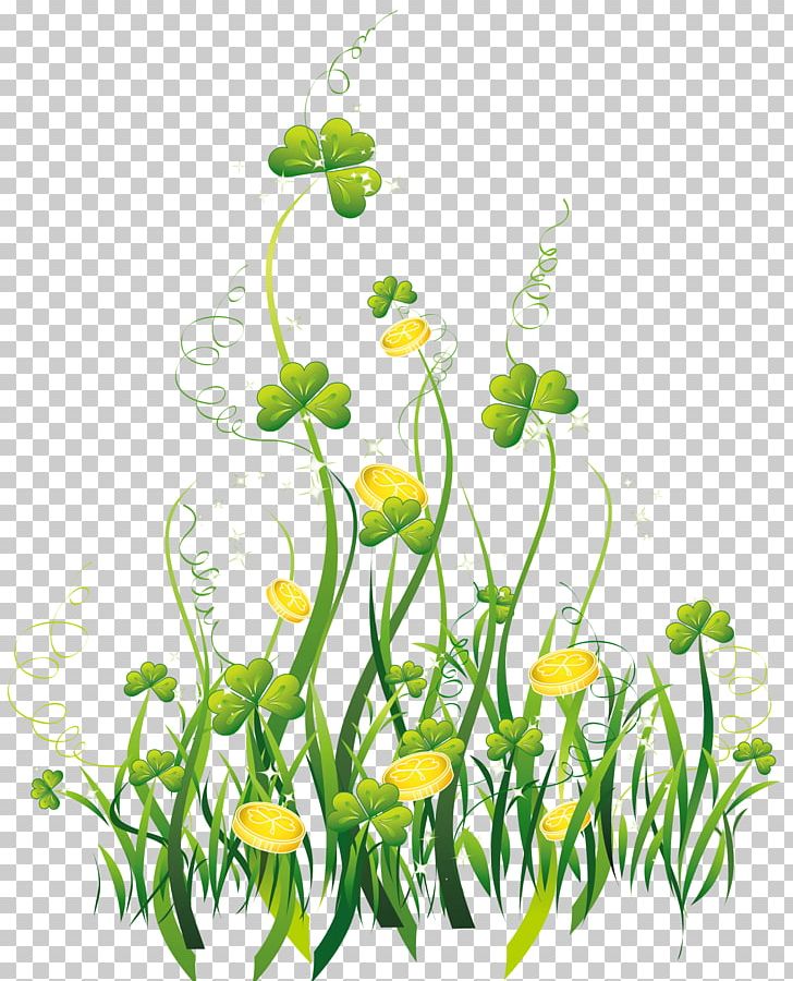 Shamrock Saint Patrick's Day PNG, Clipart, Branch, Clover, Cut Flowers, Daisy, Desktop Wallpaper Free PNG Download