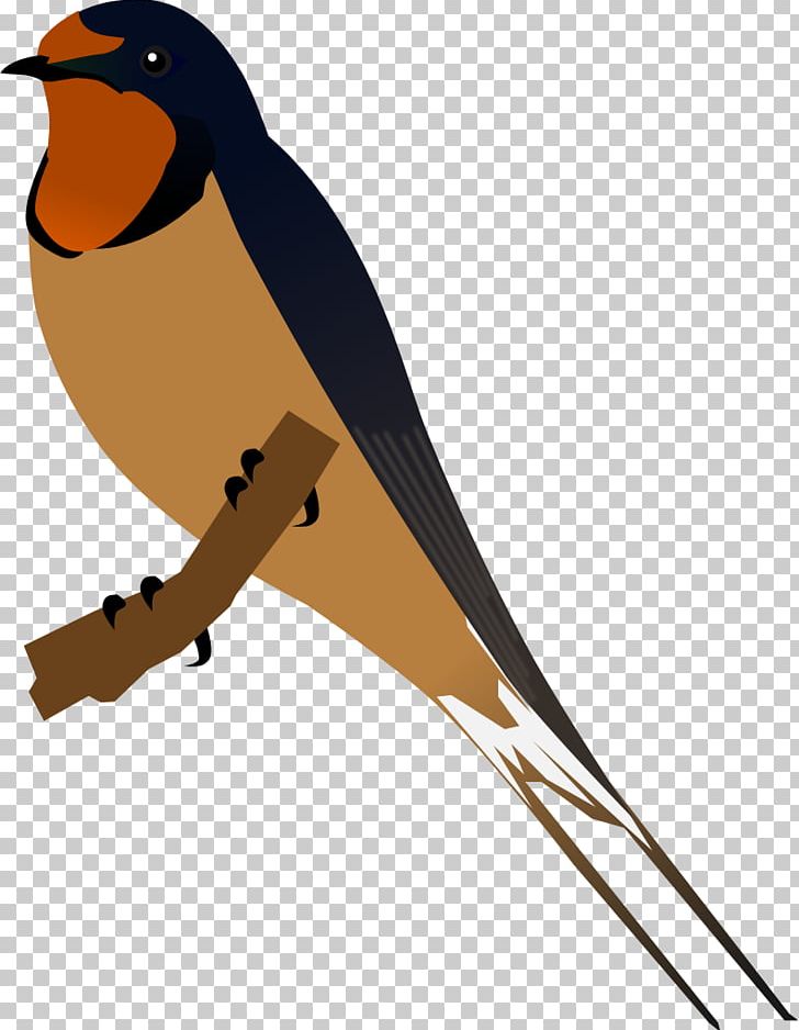Swallow Bird PNG, Clipart, American Cliff Swallow, Animals, Autocad Dxf, Barn, Barn Swallow Free PNG Download