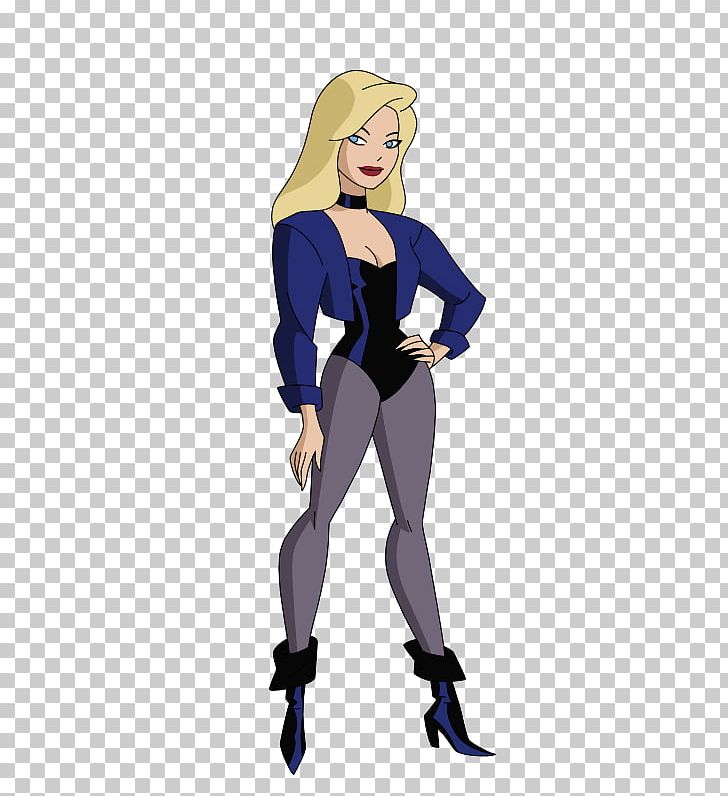Black Canary Justice League Unlimited Green Arrow Zatanna Huntress PNG, Clipart,  Free PNG Download