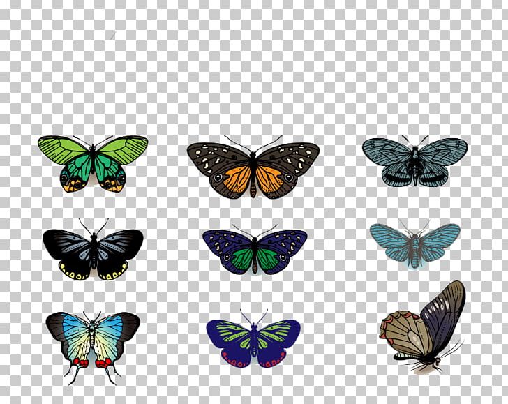 Butterfly Drawing PNG, Clipart, Arthropod, Brush Footed Butterfly, Butterflies, Butterfly Group, Cartoon Free PNG Download