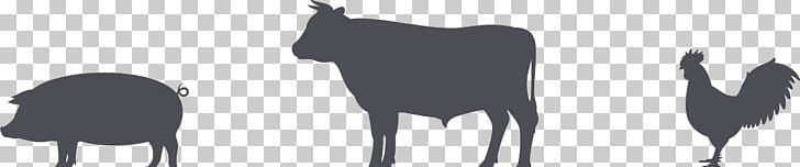 Cattle Chicken As Food Pig Meat PNG, Clipart, Animals, Black, Black And White, Butter Pecan, Canidae Free PNG Download