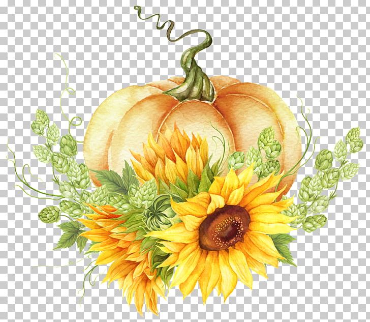 Common Sunflower Cut Flowers Floral Design Cucurbita PNG, Clipart, Bridal Shower, Calendula, Common Sunflower, Cut Flowers, Daisy Family Free PNG Download