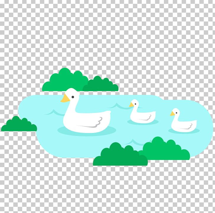 Duck Green PNG, Clipart, Animals, Aqua, Area, Beak, Bird Free PNG Download