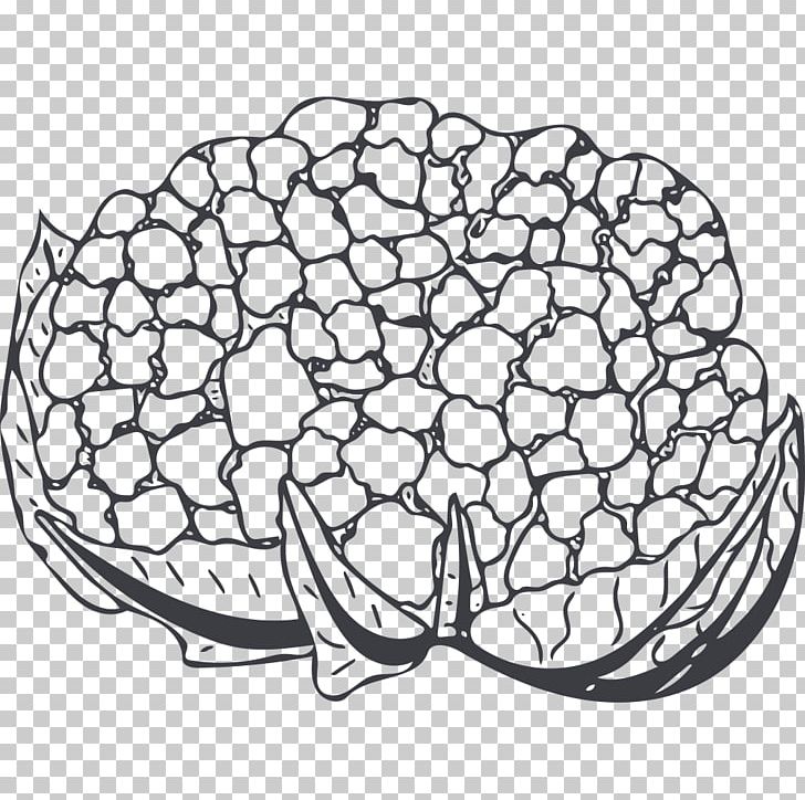 Cauliflower Broccoli Vegetable PNG, Clipart, Black And White, Brassica Oleracea, Cauliflower, Flower, Food Free PNG Download