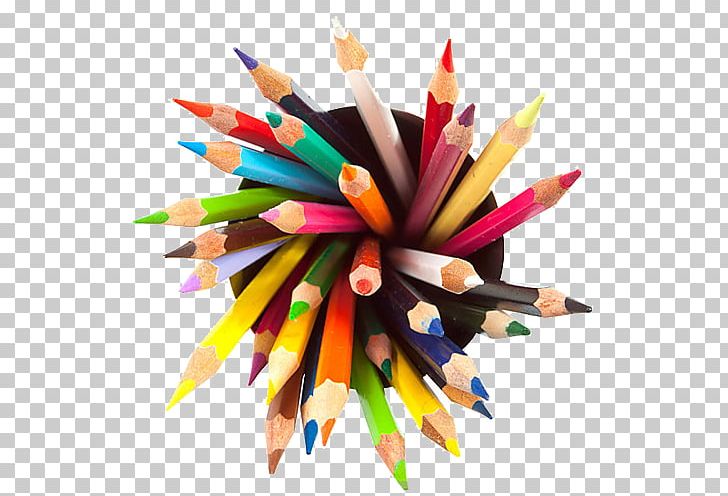 Colored Pencil Drawing Sketch PNG, Clipart, Brush, Color, Colorful Background, Color Pencil, Color Powder Free PNG Download