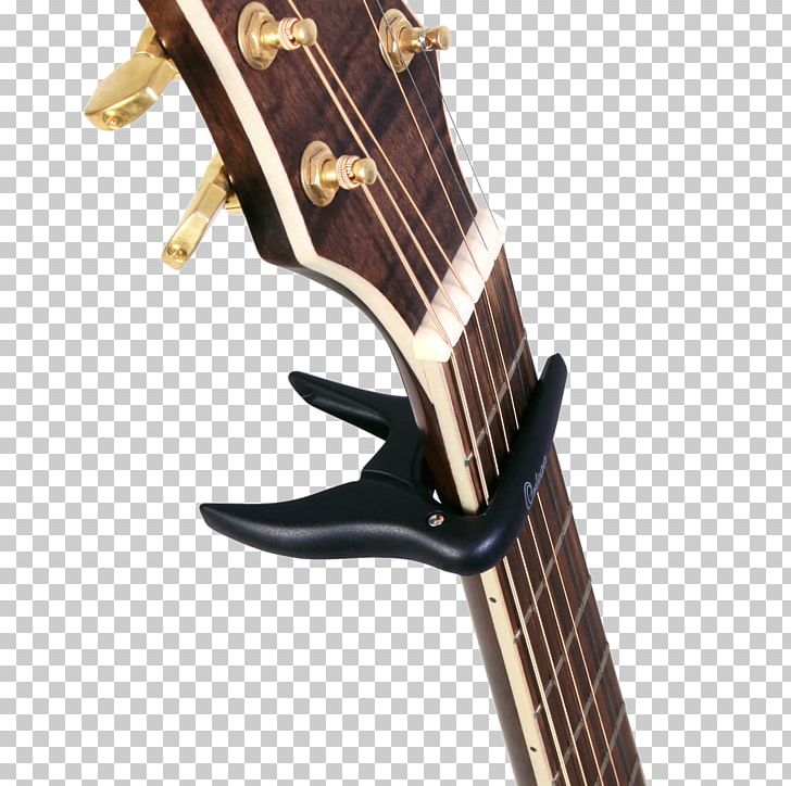 Musical Instruments String Instruments Electric Guitar Acoustic Guitar PNG, Clipart, Acoustic Electric Guitar, Amancio Ortega, Guitar Accessory, Musical, Musical Instrument Accessory Free PNG Download