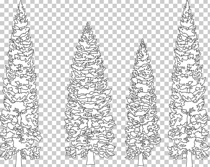 Pine Tree Fir Line Art Coloring Book PNG, Clipart, Birch, Black And White, Christmas Decoration, Christmas Tree, Color Free PNG Download