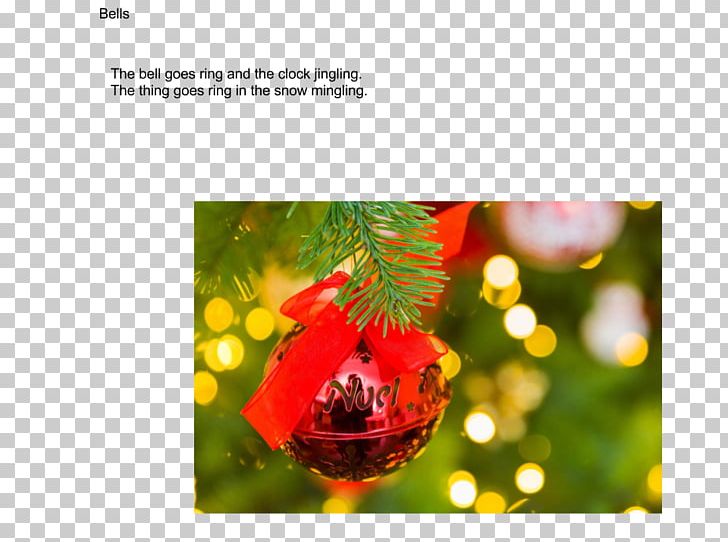 Christmas Ornament Christmas Decoration Organism Fruit PNG, Clipart, Christmas, Christmas Decoration, Christmas Ornament, Flora, Fruit Free PNG Download