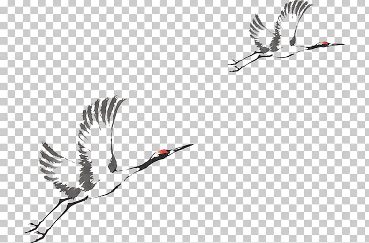 Ink Crane Bird PNG, Clipart, Beak, Bird, Black And White, Branch, Crane Free PNG Download