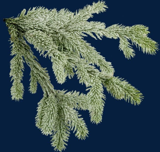Christmas Tree Branches PNG, Clipart, Branch, Branches, Branches Clipart, Branches Clipart, Christmas Free PNG Download