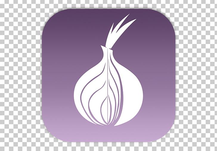 Tor .onion Web Browser Onion Routing Computer Icons PNG, Clipart, Anonymity, Browser, Bundle, Computer Icons, Computer Network Free PNG Download