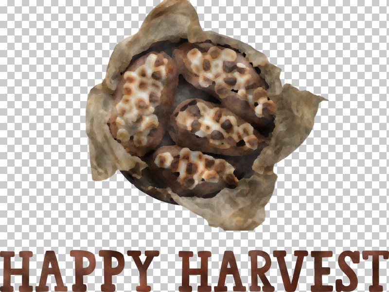 Happy Harvest Harvest Time PNG, Clipart, Calabaza, Gratis, Happy Harvest, Harvest Time, Paper Clip Free PNG Download