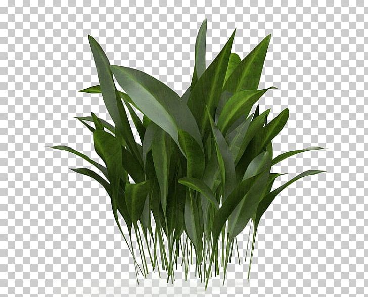 3d Computer Graphics Bamboo 3d Modeling Png Clipart 3d Computer Graphics 3d Modeling Background Green Bamboo