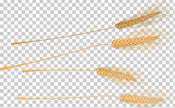Commodity Grasses PNG, Clipart, Commodity, Crops, Food, Golden, Golden Background Free PNG Download