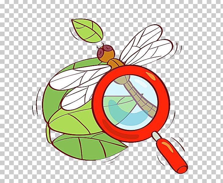 Magnifying Glass Observation Illustration PNG, Clipart, Area, Artwork, Cartoon Dragonfly, Circle, Dragonflies Free PNG Download