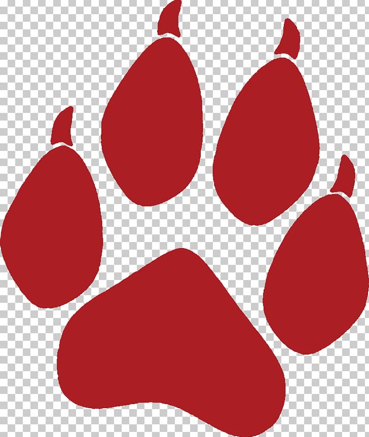 Paw Dog Coyote Cat PNG, Clipart, Animals, Animal Track, Cat, Coyote, Dog Free PNG Download