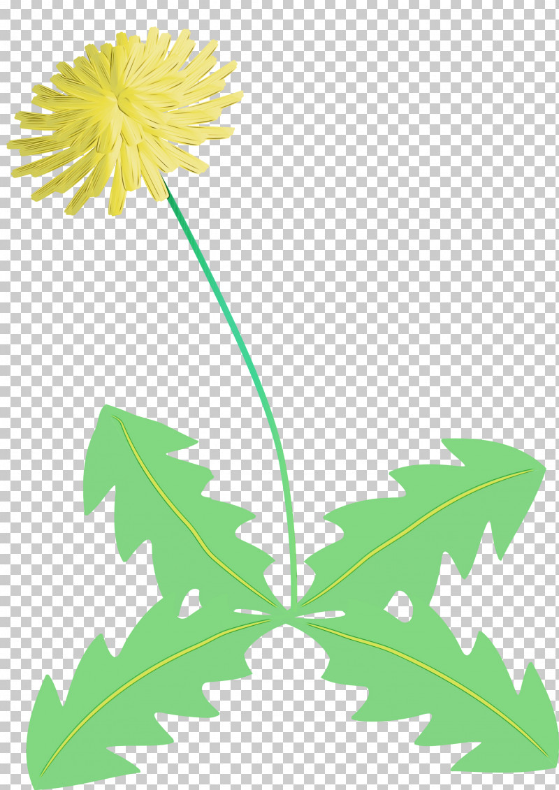 Flower Garden PNG, Clipart, Common Daisy, Daisy Family, Dandelion Flower, Flower, Flower Garden Free PNG Download
