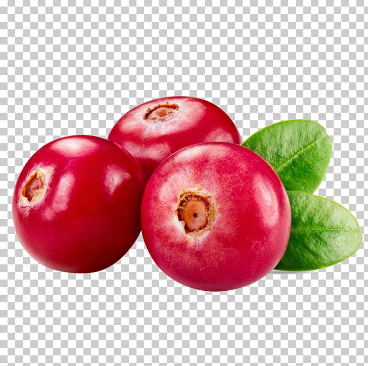 Cranberry Juice Cookie Food Auglis PNG, Clipart, Acerola, Acerola Family, Aedmaasikas, Cake, Fruit Free PNG Download