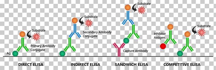 ELISA Enzyme Assay Immunology Chemical Reaction PNG, Clipart, Aids, Antibody, Antigen, Assay, Brand Free PNG Download